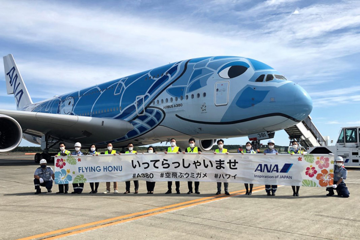 エアバスa 380 海ガメのペイントがカワイイ Anaのフライングホヌ ハワイ路線専用機なのに なぜか那覇空港にやってきた Free Fowls新石垣島ブログ