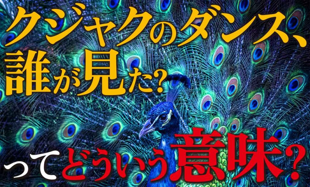 「クジャクのダンス、誰が見た?」の本当の意味は?